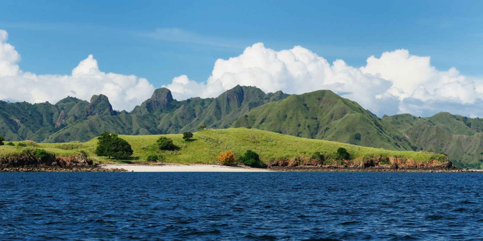 The Island of Komodo In Flores Indonesia