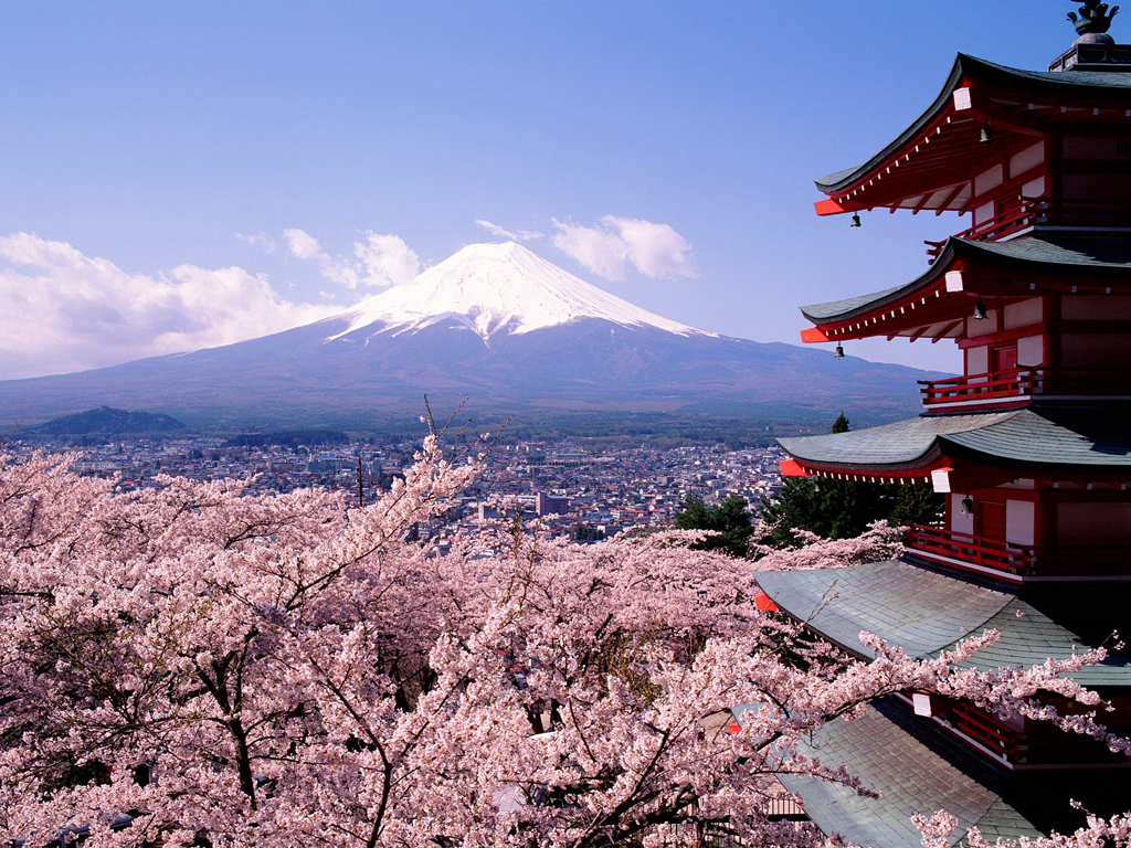 Wonderful Sakura Wallpaper