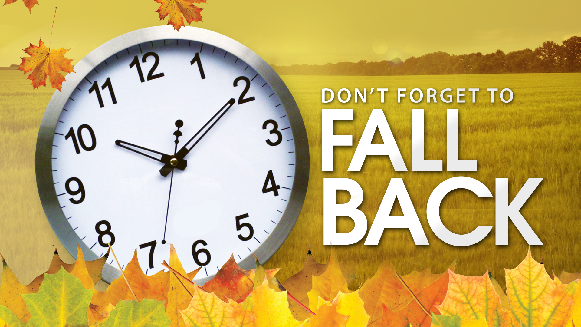 Daylight Savings Time 2013