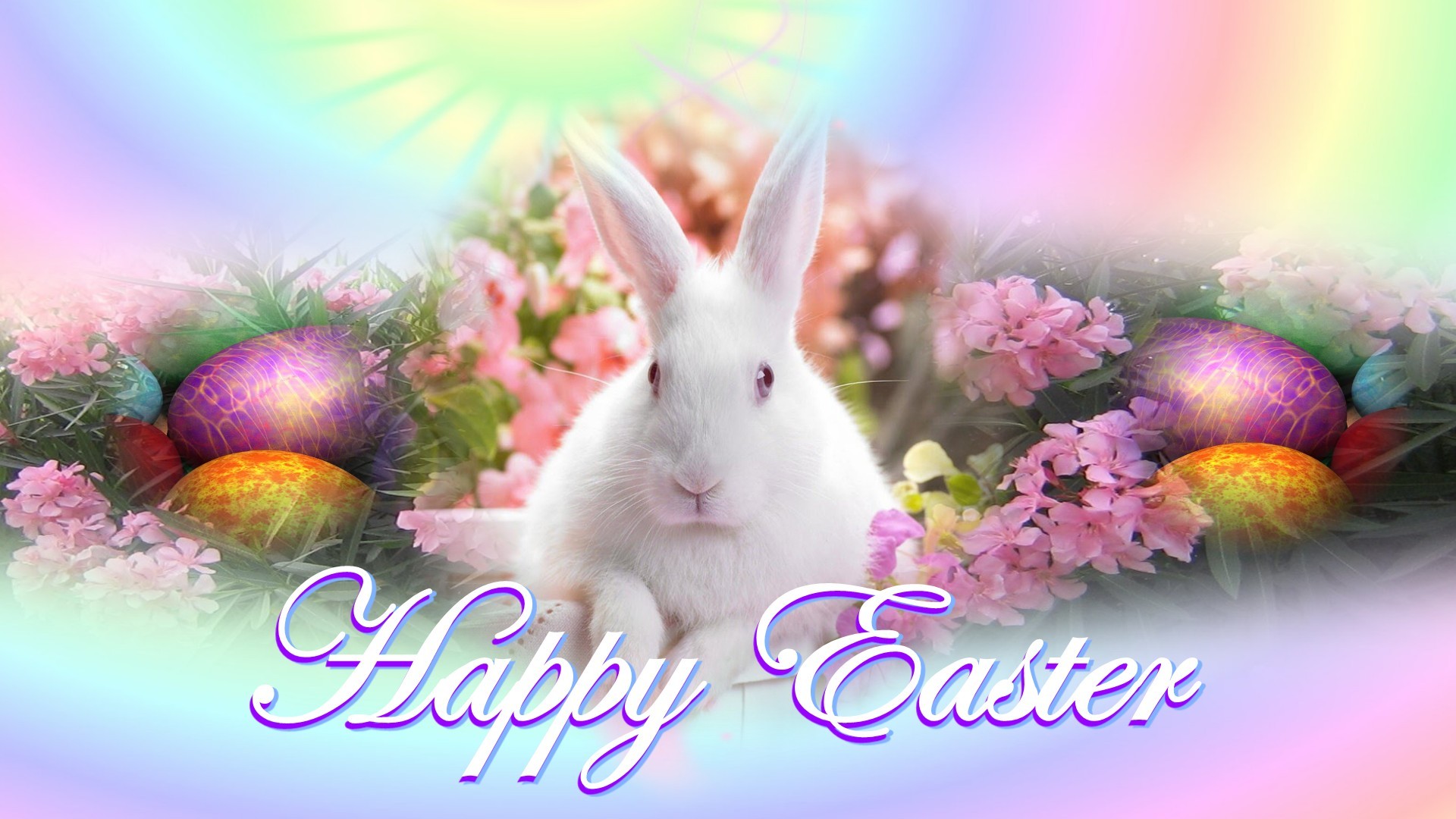 Happy Easter Bunny 2013 | Wallpup.com