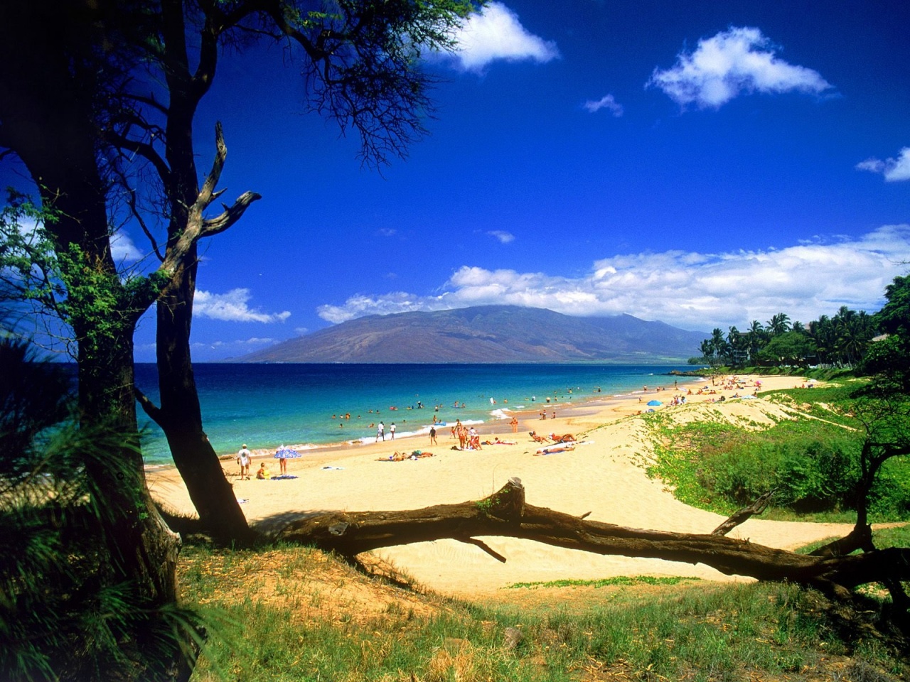 Kihei Beach Maui Wallpaper