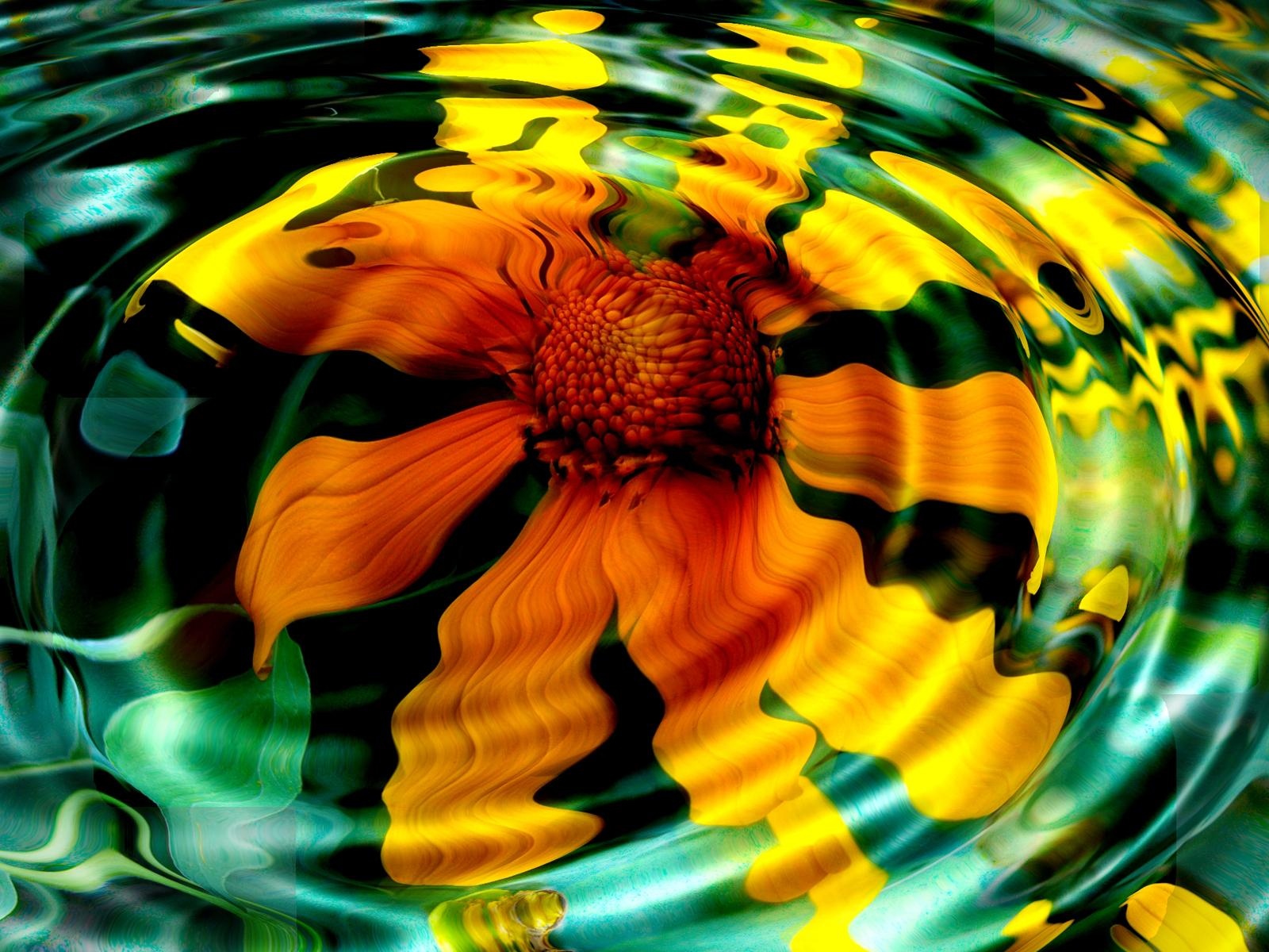 Sunflower in Water Wallpaper