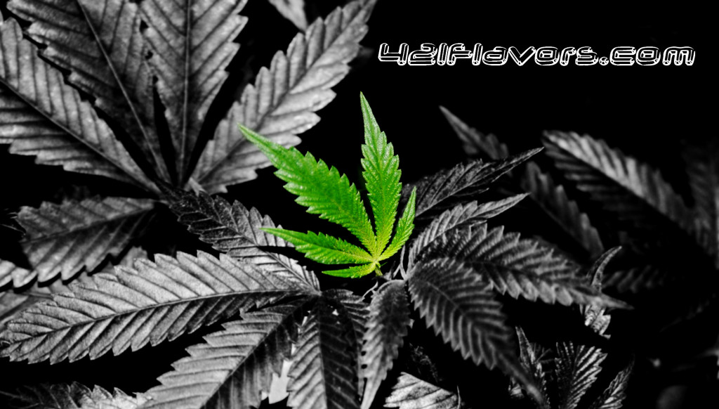 Cool Weed Leaf / Marijuana Leaf Wallpaper
