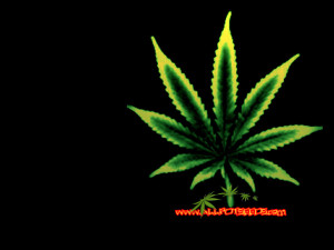 Marijuana Weed Wallpaper