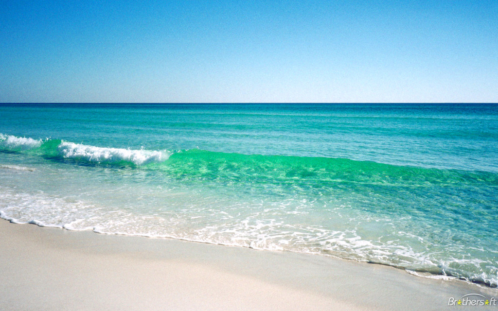 Beach In Florida