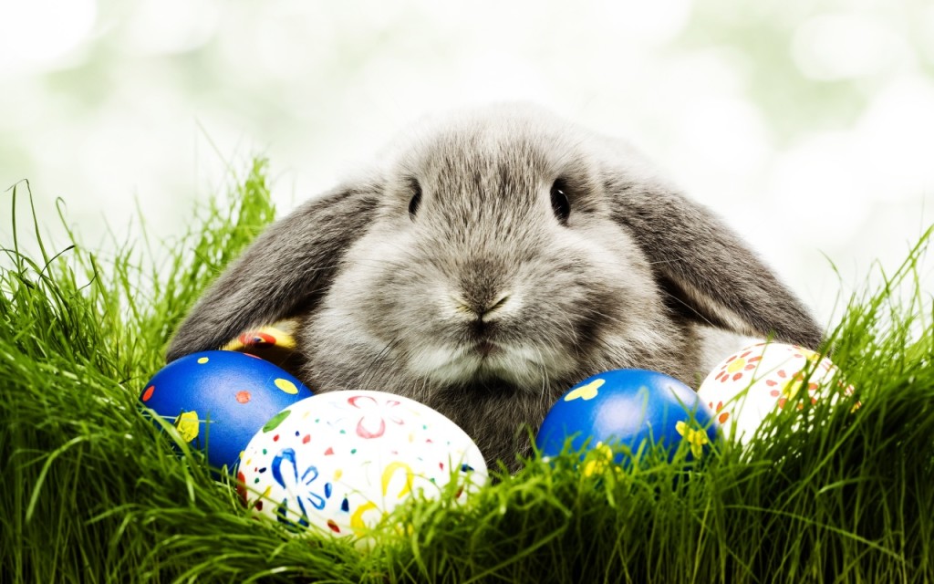 Easter Bunny HD