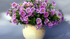 Purple Flowers Vase Wallpaper