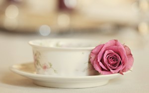 Rose With Tea Cup
