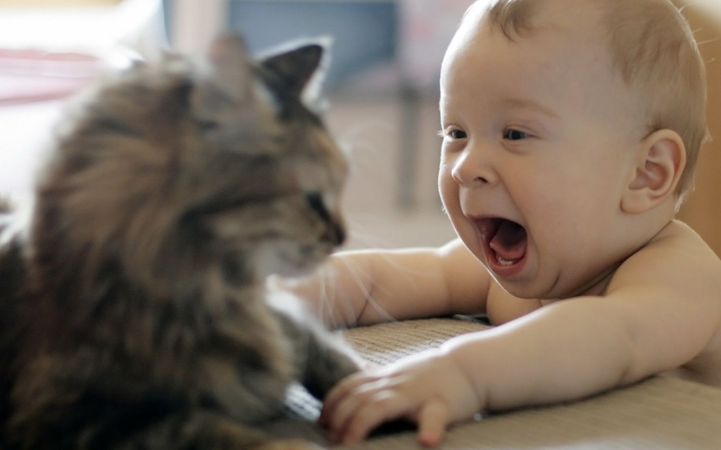 Funny Baby And Cat HD Wallpaper