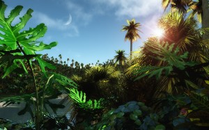 Tropic Jungle Wallpaper